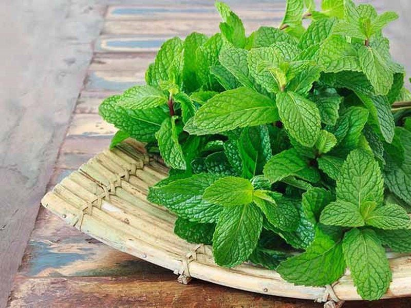 Garnishes (Đồ trang trí) và ý nghĩa của chúng