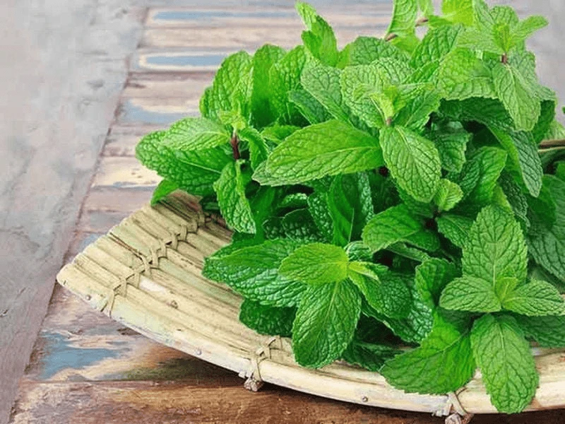 Garnish ảnh hưởng đến hương vị cocktail qua aroma, flavor và visual